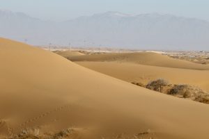 宁夏自治区-gallery-