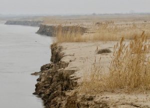 宁夏自治区-gallery-