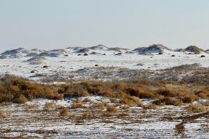 宁夏自治区-gallery-