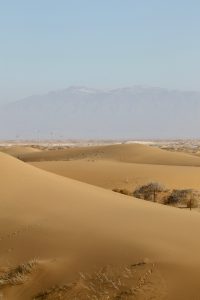 宁夏自治区-gallery-