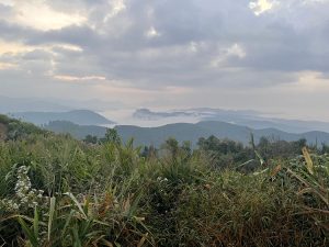 广西自治区-gallery-